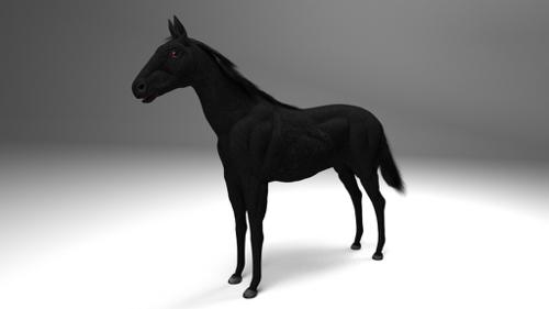 Realistic Horse Mesh (Rigged) preview image